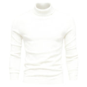Alessandro Whitfield | Turtleneck Sweater For Men